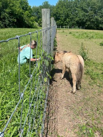 Miniature pony at paddock and women kneeling outside